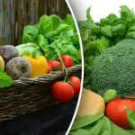 Kuinka et menetä satoa: puutarhurit varoittivat istuttamasta siemenistä Kuinka et menetä satoa: puutarhurit varoittivat istuttamasta siemenistä