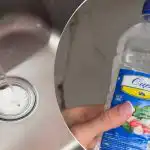 Miksi sinun täytyy kaataa etikkaa pestaaseen: Tämä temppu poistaa ärsyttävän