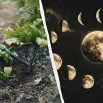 Näinä huhtikuun päivinä puutarha kannattaa unohtaa: tarkka kylvökalenteri kuukaudelle