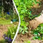 Tällä tavalla penkkien kitkeminen on 2 kertaa helpompaa ja nopeampaa: