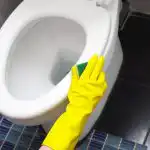 Vuosien plakki tuli juuri vessasta: kotitekoinen kolmen aineen seos auttoi