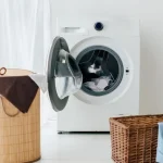 Yksikään kemikaali "ei ottanut" muottia pesukoneeseen: mikä kansanlääke auttoi yksikaan-kemikaali-ei-ottanut-muottia-pesukoneeseen-mika-kansanlaake-auttoi.webp.webp